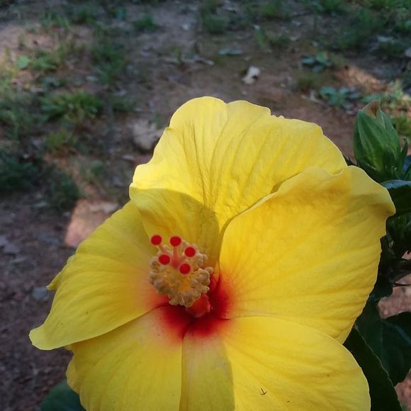 Meet your Posher, Lisa - Picture 1 of 1